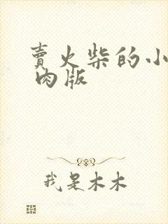 卖火柴的小男孩 肉版