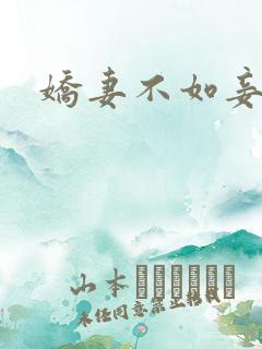 娇妻不如妾