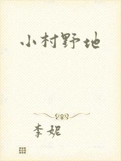 小村野地