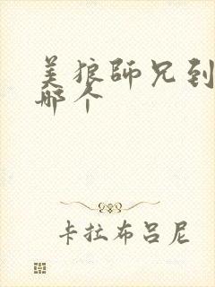 美狼师兄到底选哪个