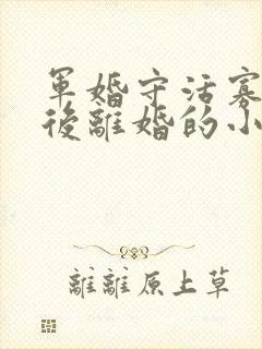 军婚守活寡重生后离婚的小说