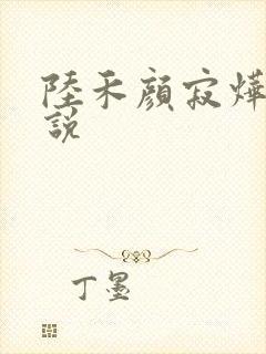 陆禾颜寂烨霖小说