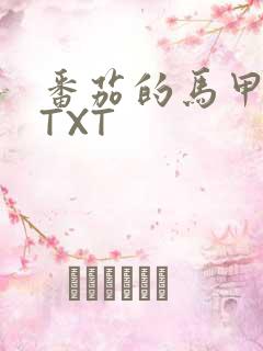 番茄的马甲小说TXT