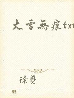 大雪无痕txt