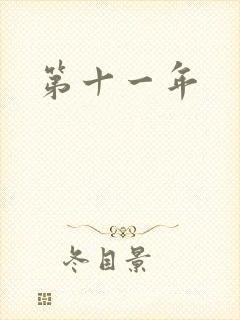 第十一年