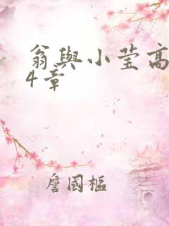 翁与小莹高潮24章