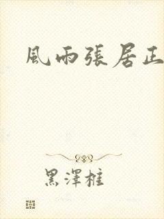 风雨张居正下载