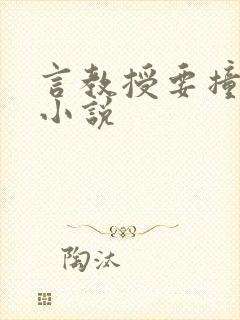 言教授要撞坏了小说