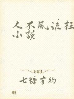 人不风流枉少年小说