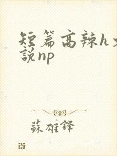 短篇高辣h文小说np