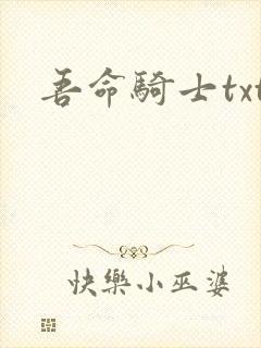 吾命骑士txt