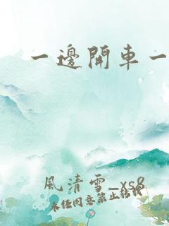 一边开车一边做