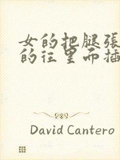 女的把腿张开男的往里面插