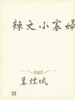 辣文小寡妇