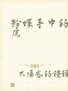 粉蝶手中的纸老虎