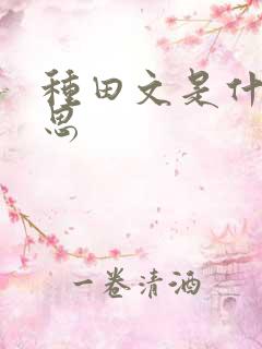 种田文是什么意思