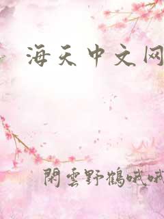 海天中文网