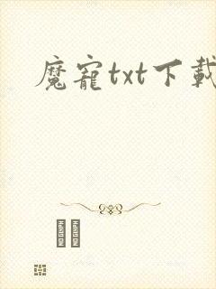 魔宠txt下载