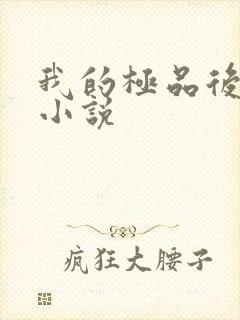 我的极品后宫 小说