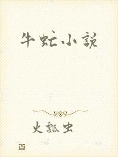 牛虻小说