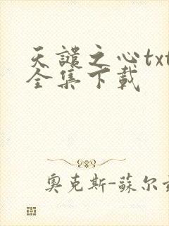 天谴之心txt全集下载