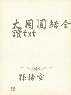 大团圆结全文阅读txt