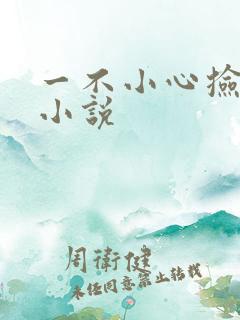 一不小心捡到爱小说