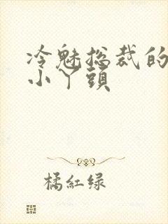 冷魅总裁的纯纯小丫头