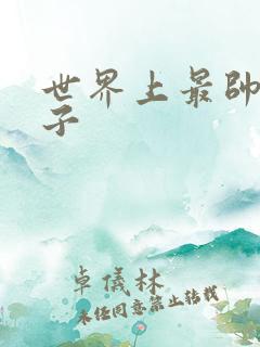 世界上最帅的虫子