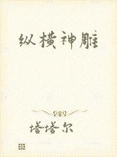 纵横神雕