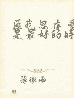 匪我思存 爱你是最好的时光