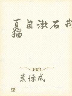 夏目漱石 我是猫