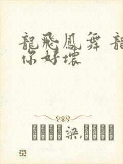 龙飞凤舞 龙王你好坏