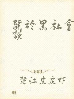 关于黑社会的小说