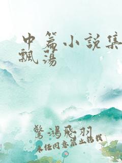 中篇小说集随风飘荡