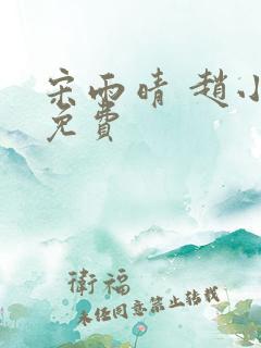 宋雨晴 赵小刚免费