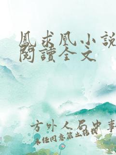 凤求凰小说免费阅读全文