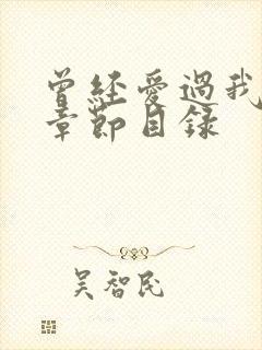 曾经爱过我刘念章节目录