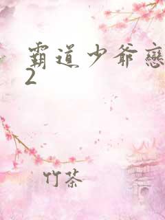 霸道少爷恋上我2