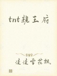 tnt亲王府