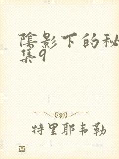 阴影下的秘密全集9