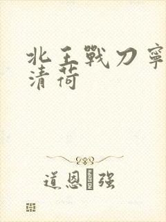 北王战刀宁北苏清荷