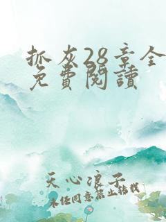 抓灰28章全部免费阅读