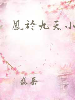 凤于九天小说