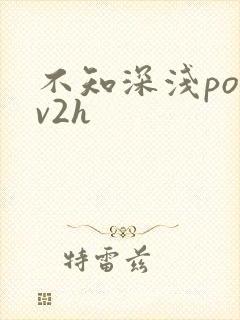 不知深浅po1v2h