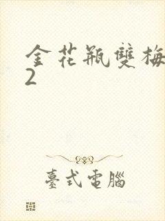 金花瓶双梅花12