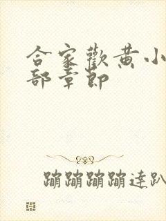 合家欢黄小梅全部章节