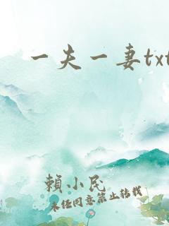 一夫一妻txt