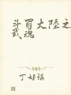 斗罗大陆之三生武魂