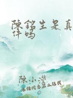 陈铭生是真实事件吗